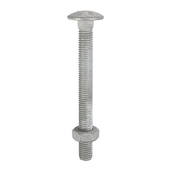 MultiScrew Business, Office & Industrial:Fasteners & Hardware:Other Fasteners & Hardware M10 GALVANISED CUP SQUARE CARRIAGE BOLT COACH SCREW AND HEX FULL NUTS DIN603 CE